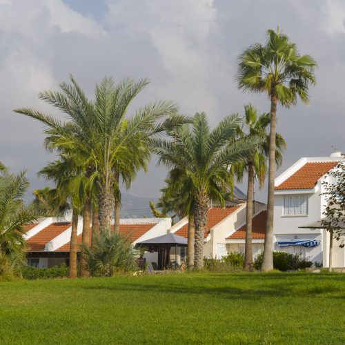 Palm trees and hotel on the island of Cyprus. The concept of recreation and entertainment.